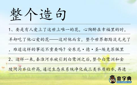 整個造句