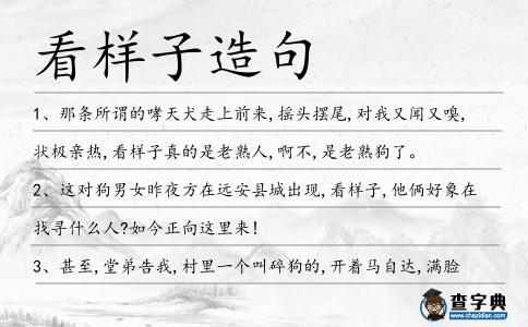 看樣子造句