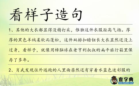 看樣子造句