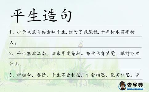 平生造句