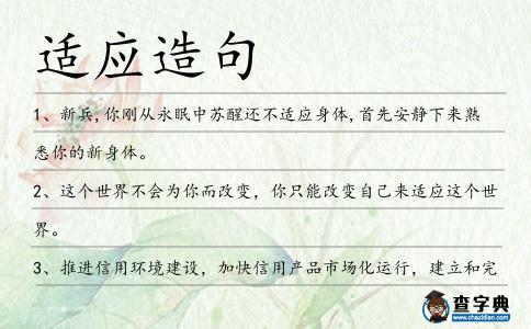 適應造句