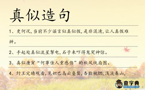 真似造句