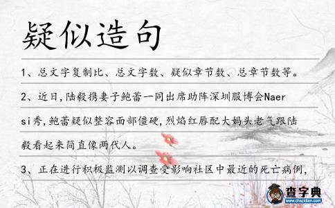 疑似造句