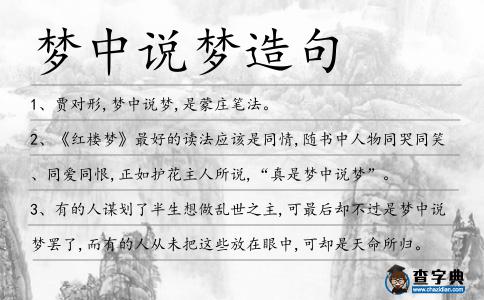 夢中說夢造句