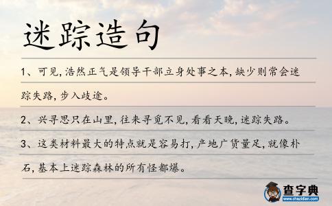 迷蹤造句