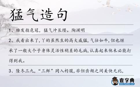 猛氣造句