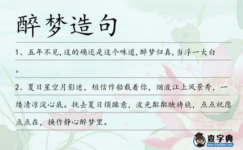醉夢造句