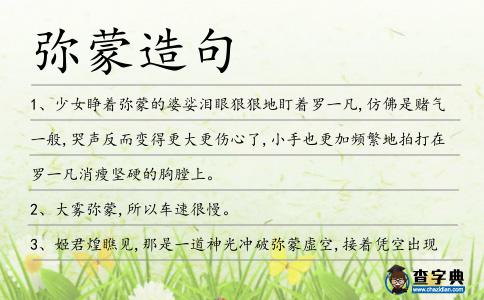 彌蒙造句