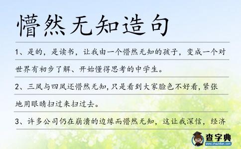 懵然無知造句