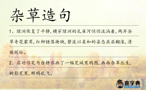 雜草造句