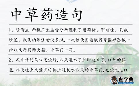 中草藥造句