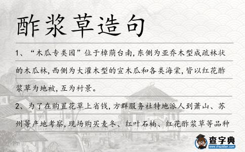 酢漿草造句