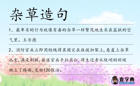 雜草造句