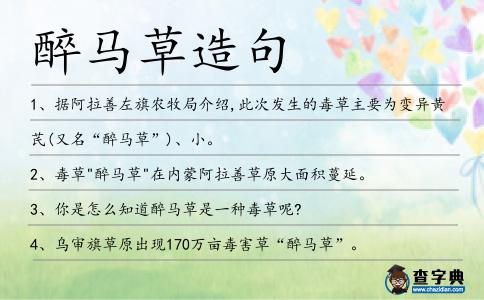 醉馬草造句