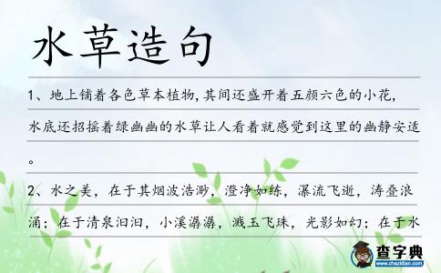 水草造句