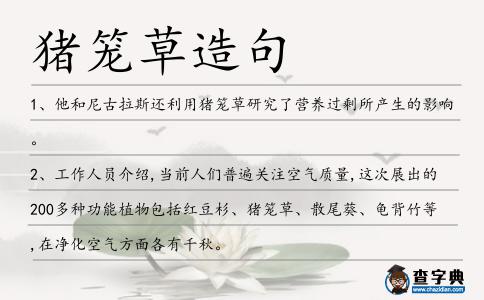 豬籠草造句