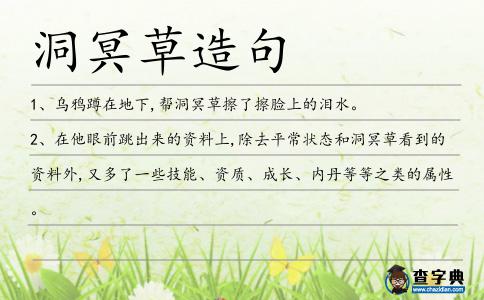 洞冥草造句