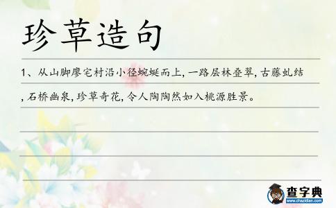 珍草造句