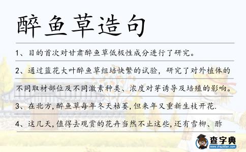 醉魚草造句