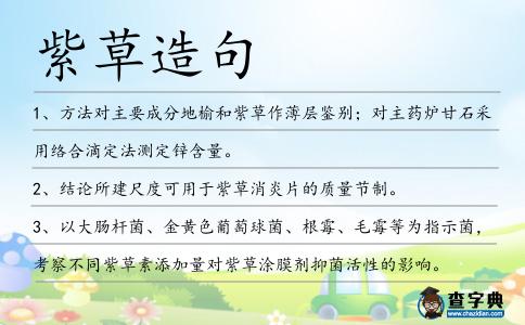 紫草造句