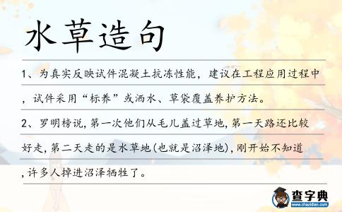 水草造句
