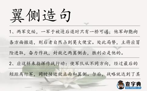 翼側造句