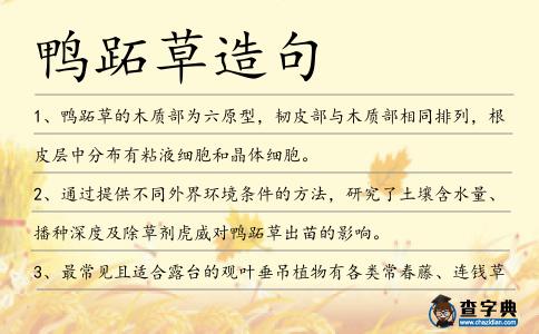 鴨跖草造句
