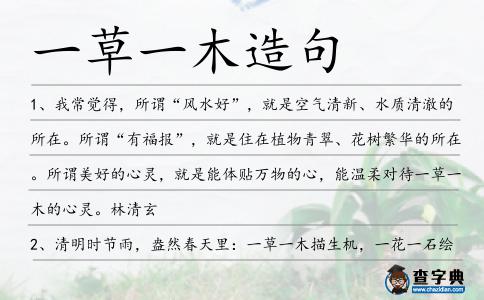 一草一木造句