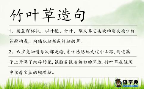 竹葉草造句