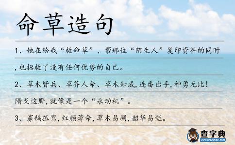 命草造句