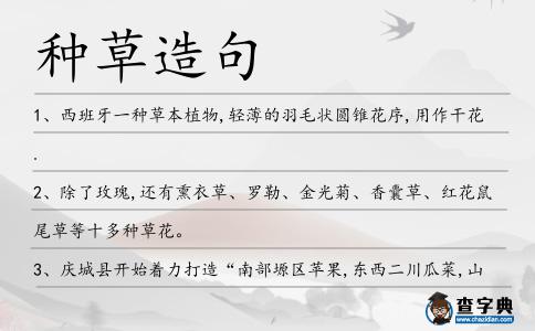 種草造句