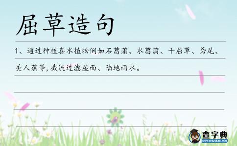屈草造句