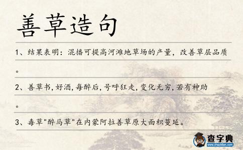 善草造句