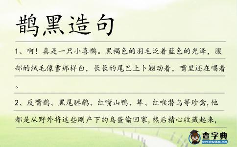 鵲黑造句