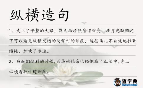 縱橫造句