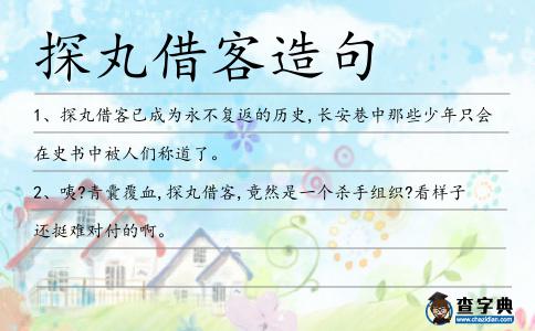 探丸借客造句