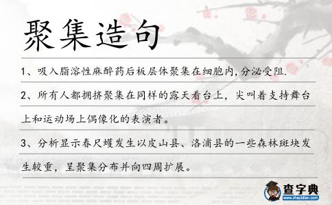 聚集造句