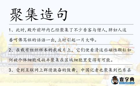 聚集造句