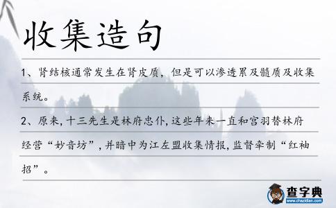 收集造句