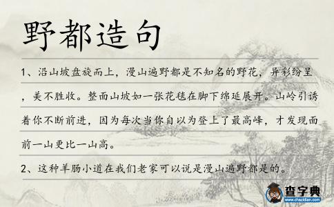 野都造句