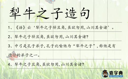 犁牛之子造句