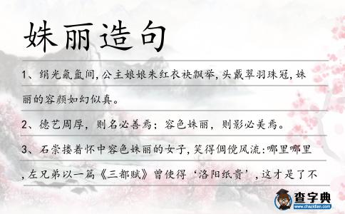 姝麗造句