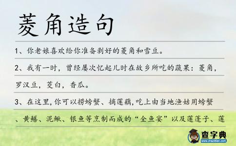 菱角造句