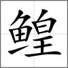 鰉