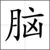 腦