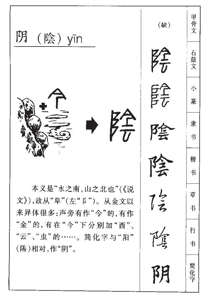 陰