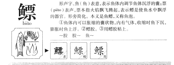 鰾