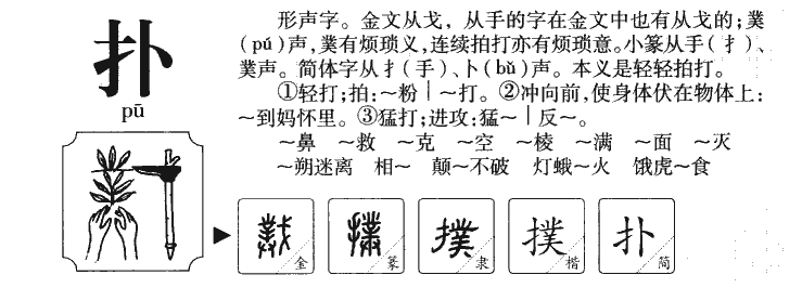 撲