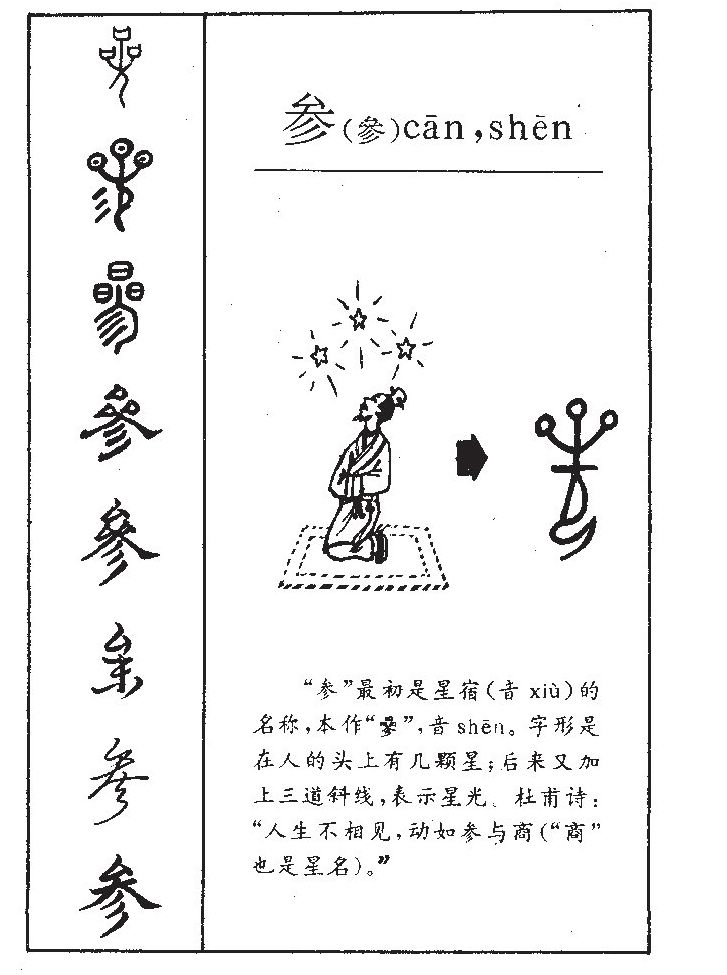 參