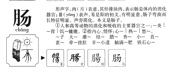 腸